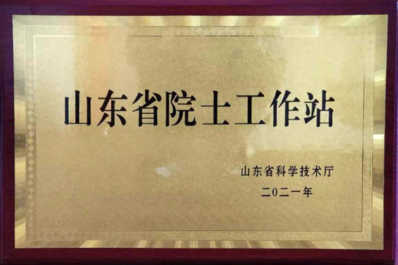 山東省院士工作站